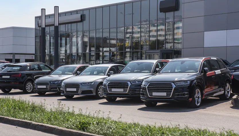 Car Rental Companies & Agencies